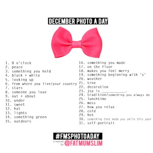 dec-photoaday_zpsb9f18c222